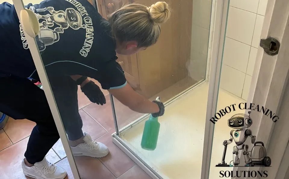 Robot Cleanings Services