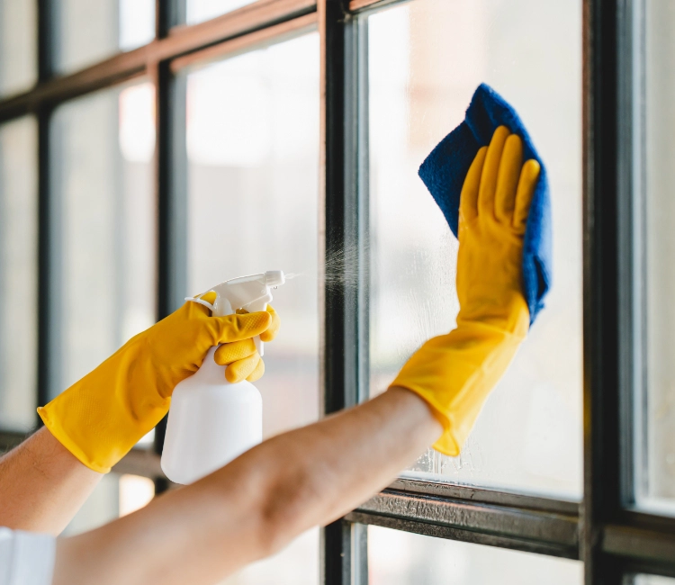 End of Lease Cleaning Bentleigh