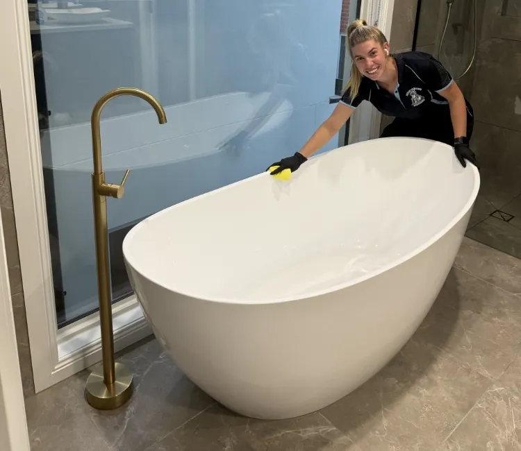 Cleaning professional